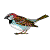 Moineau